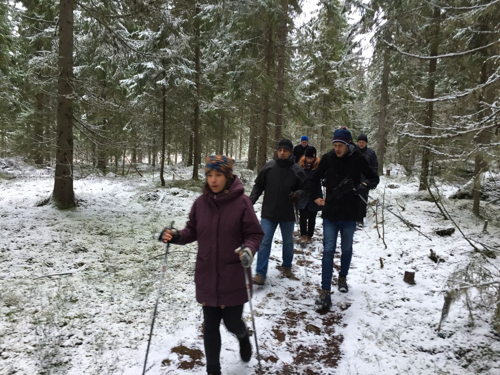 finlandia3